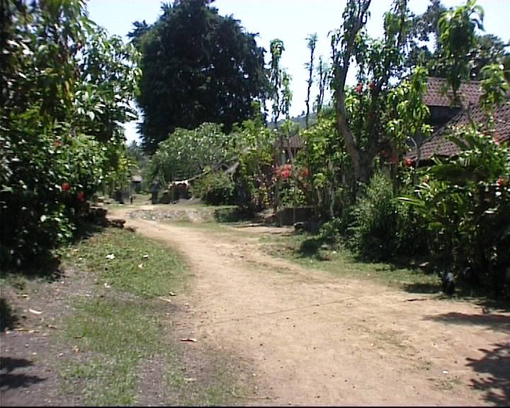 Bali0188.jpg