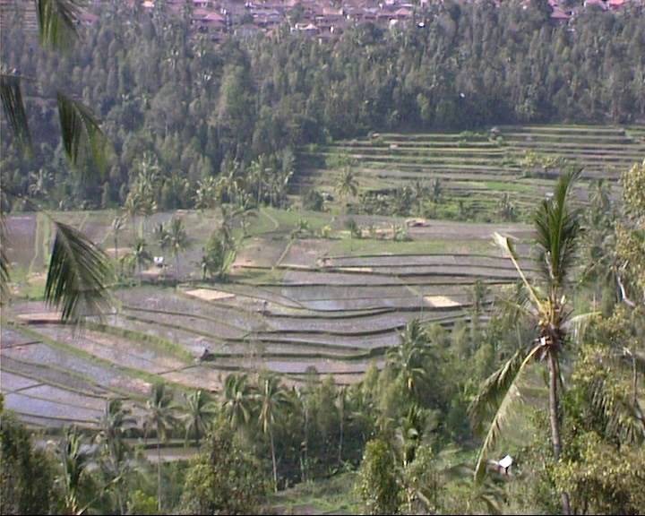 Bali0299.jpg