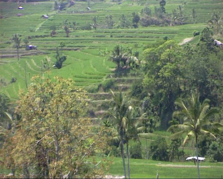 Bali0435.jpg