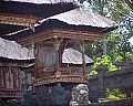 Bali0229.jpg