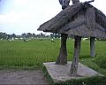 Bali0380.jpg